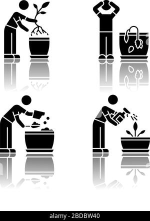 Indoor gardening stages drop shadow black glyph icons set. Plant cultivation. Replanting, repotting plants. Wilting flower. Preparing soil for Stock Vector