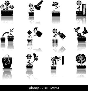 Houseplant care drop shadow black glyph icons set. Indoor gardening steps. Repotting, spraying plants. Planting flower seeds. Watering, fertilizing Stock Vector