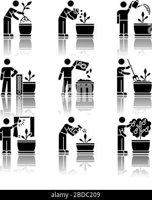 Indoor gardening stages drop shadow black glyph icons set. Houseplant caring. Repotting, watering. Fertilizing, spraying. Propagating flowers Stock Vector