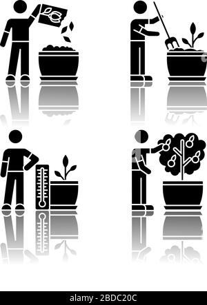 Indoor gardening process drop shadow black glyph icons set. Planting seed, propagating. Fluffing, plowing soil. Regulating temperature conditions Stock Vector