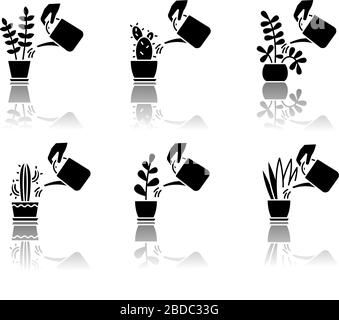Houseplant care drop shadow black glyph icons set. Domestic plant cultivation. Watering domestic plants. Moisturizing, rehydrating soil. Moistening Stock Vector