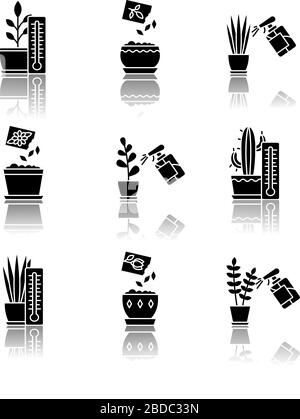 Houseplant care drop shadow black glyph icons set. Domestic plant cultivation. Spraying, misting. Planting seeds. Providing air temperature conditions Stock Vector