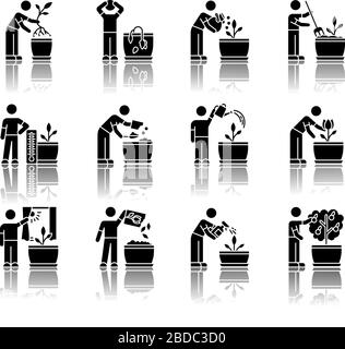 Houseplant care drop shadow black glyph icons set. Domestic plant cultivation. Repotting, fertilizing. Planting flower seeds. Watering, spraying Stock Vector