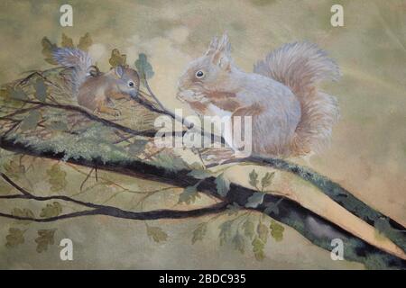 Red Squirrel Painting Stock Photo