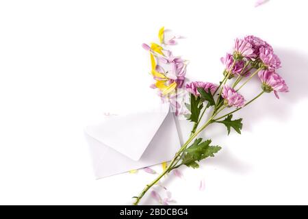 Purple chrysanthemum, petals and paper envelope isolated on white background Stock Photo
