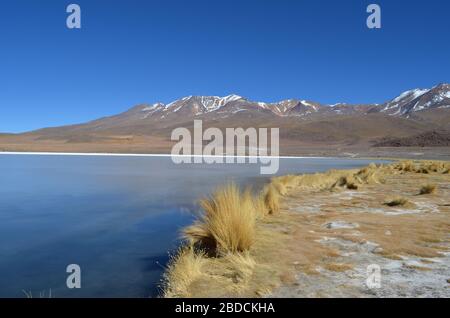 Beautiful Cañapa lagoon in the Bolivian highlands Stock Photo