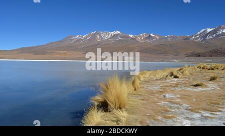 Beautiful Cañapa lagoon in the Bolivian highlands Stock Photo