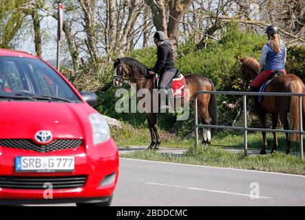 28.04.2018, Dierhagen, Mecklenburg-Western Pomerania, Germany - Young women want to cross a country road on a horseback ride. 00S180428D059CAROEX.JPG Stock Photo