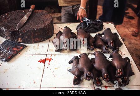13.04.2014, Tomohon, Sulawesi, Indonesia - At the traditional meat market in Tomohon, roasted flying foxes or giant bats are offered for consumption. Stock Photo