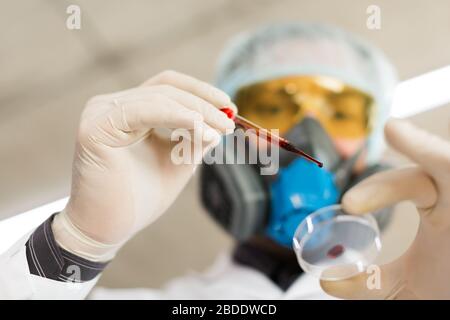 Researcher in a lab drip ping a blood sample in a Petri dish. Focus on a pipette. View from below. Vaccine creation. Stock Photo
