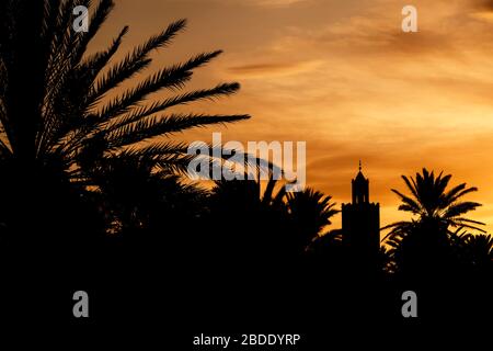 Silhouette of a minaret (mosque) and date palms against a beautiful colorful sky at sunset. In Ouarzazate, Morocco. Stock Photo