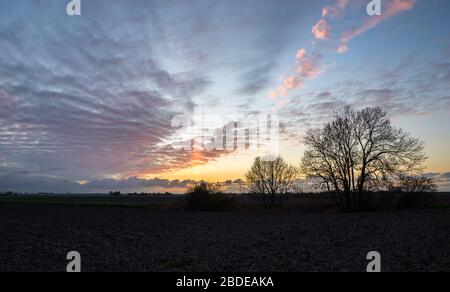 Column of light in the clouds after the sun went down over the Dutch landscape. Trees are outlined against the evening sky. Stock Photo