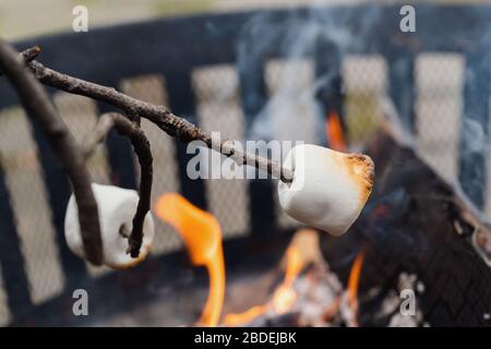 Roasting marshmallows over fire Stock Photo