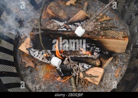 Fire pit with roasted marshmallows on sticks Stock Photo