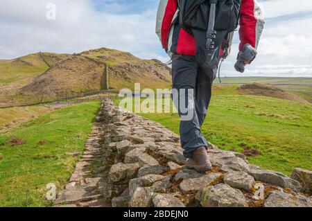 Hadrian's wall at Milecastle Turret 42 walking eastwards towards  Style Rigg and Housesteads Roman Fort, Northumberland, England, UK Stock Photo