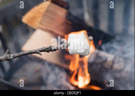 Close up of Marshmallow on stick roasting over fireÂ Stock Photo