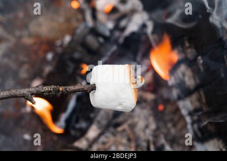 Close up of Marshmallow on stick roasting over fireÂ Stock Photo