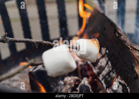 Roasting marshmallows over fire Stock Photo