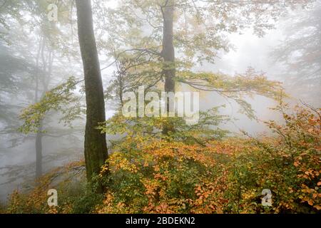 Hillside mountain Munchel, Borzhava, Carpathians, Zakarpattia region, Ukraine, 2019 Stock Photo
