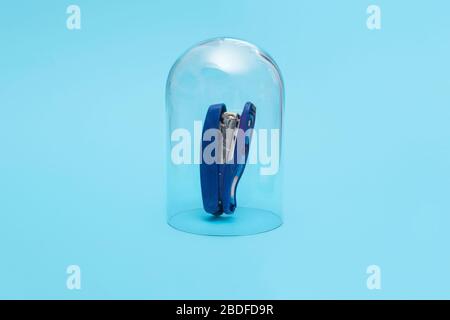 Office stapler working from home in quarantine under a glass cloche dome on a blue background with copy space and room for text. Stock Photo