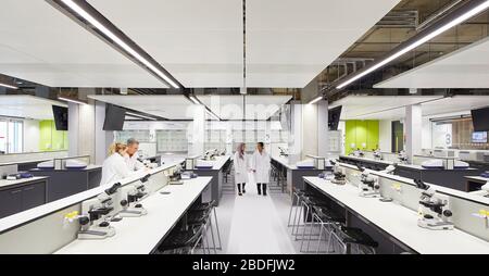 State of the art laboratory. STEM Building - University of Bedforshire, Luton, United Kingdom. Architect: MCW, 2019. Stock Photo
