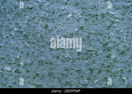 Horizontal close up of rain on the surface of a lake. Stock Photo