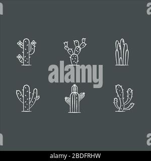 Cactuses chalk white icons set on black background. American desert plants. Family Cactaceae. Different prickly succulents. Arid area thorny Stock Vector