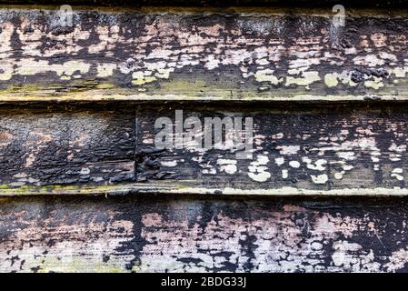 Old red painted door to shed with misaligned latch Stock Photo
