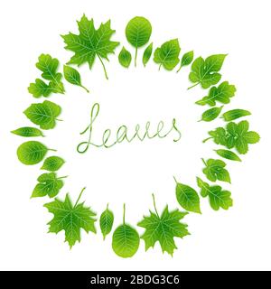 Vector frame of green leaves on white background Stock Vector