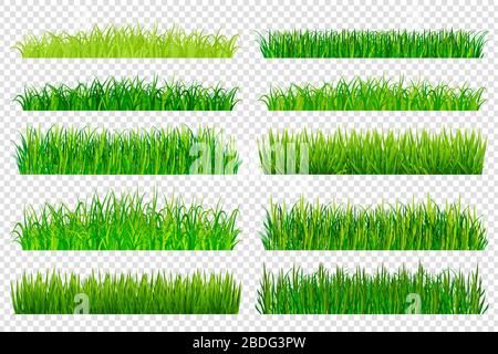 Spring green grass borders isolated on transparent background. Vector illustration Stock Vector