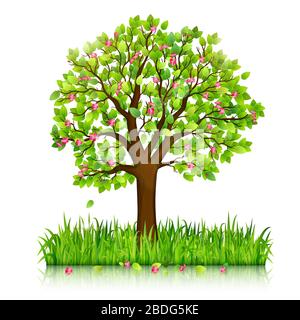 Spring nature background with blooming tree and green grass vector Stock Vector