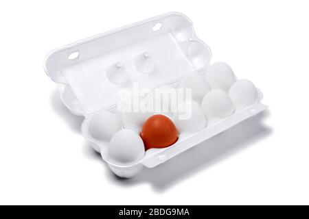 nine white eggs and one brown are packed together in one egg crate, isolated on a white background Stock Photo