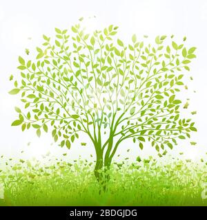 Nature background with green grass and tree vector Stock Vector Image ...