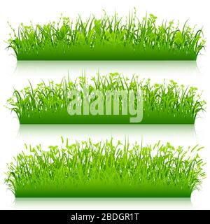 Green grass borders set on white background vector Stock Vector