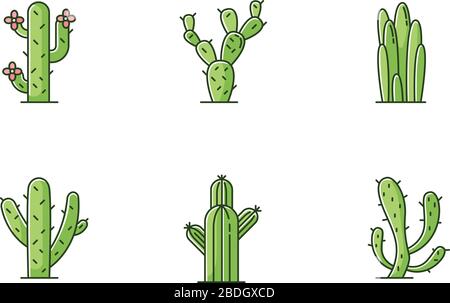 Cactuses green RGB color icons set. American desert plants with fleshy trunks. Family Cactaceae. Different prickly succulents. Arid area thorny Stock Vector