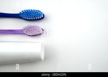 flat lay of toothbrushes on white background with copy space Stock Photo