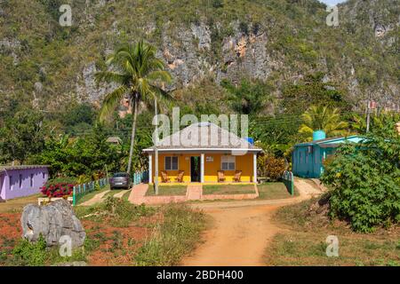 Tobacco plantation with hut and palms in the background. The Vinales Valley (Valle de Vinales), popular tourist destination. Pinar del Rio, Cuba. Stock Photo