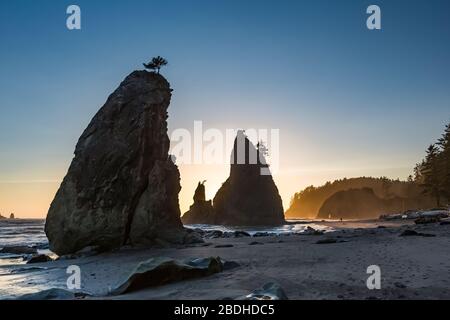 Sunset among the sea stacks and Hole in the Wall on Rialto Beach in Olympic National Park, Washington State, USA Stock Photo