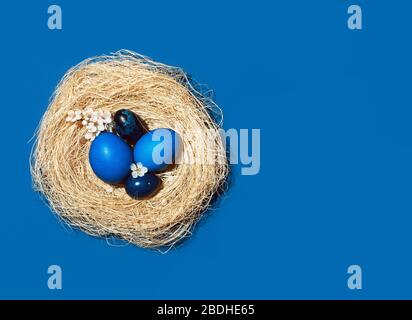 Easter eggs in trendy blue colors in the nest. The concept of stylish natural decoration for Easter, minimalistic, zero waste, greeting cards, etc. Stock Photo