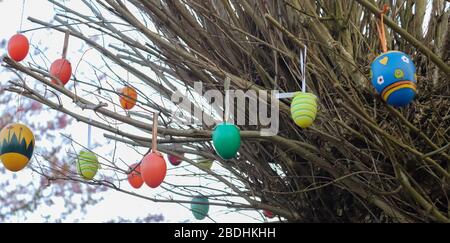 Beautiful and colorful easter egg decoration hanging in a tree Stock Photo