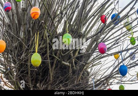Beautiful and colorful easter egg decoration hanging in a tree Stock Photo