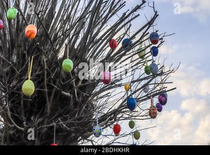 Beautiful and colorful easter egg decoration hanging in a tree Stock Photo