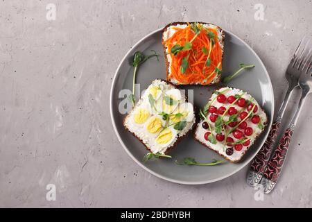 Three sandwiches on toast with cream cheese, carrots, red currant and quail eggs decorated with microgreens peas on a plate on gray concrete Stock Photo