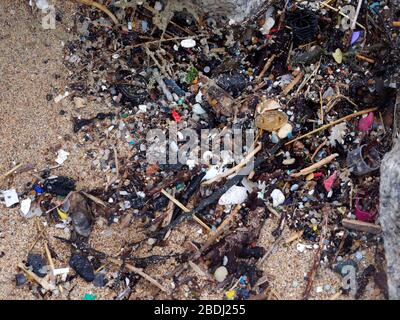 Pollution beach micro plastic and commercial fishing industry plastic rope discard at sea. Cornwall UK. Credit: Robert Taylor/Alamy. Stock Photo