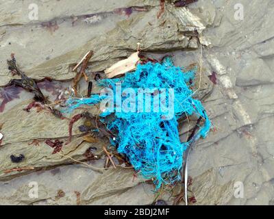 Pollution beach micro plastic and commercial fishing industry plastic rope discard at sea. Cornwall UK. Credit: Robert Taylor/Alamy. Stock Photo