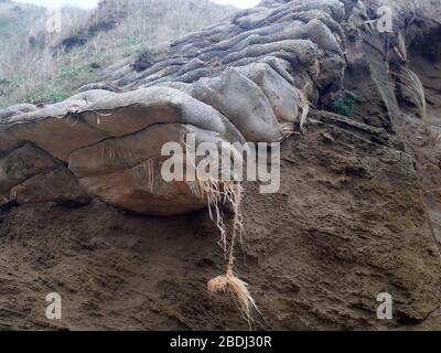 Pollution beach micro plastic and commercial fishing industry plastic rope discard at sea. Cornwall UK. Credit: Robert Taylor/Alamy. Stock Photo