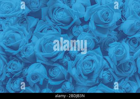 The blue flower. the blue flower made from plastic Fiber. Artificial flowers made from synthetic fabrics. Stock Photo