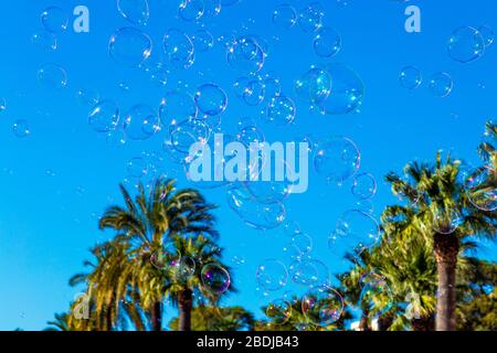 Soap bubbles against a blue sky and palm trees, Seville, Andalusia, Spain Stock Photo
