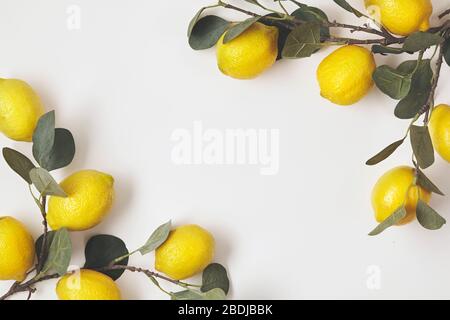 Composition with ripe lemons on white background. Close up. Stock Photo