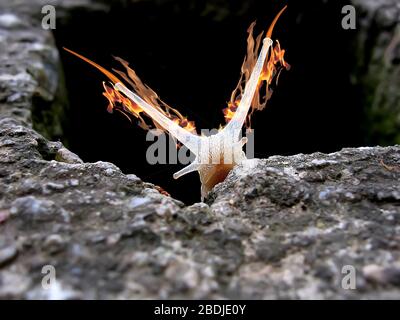 a snail with flames on its horns comes out of a hole in the stone Stock Photo